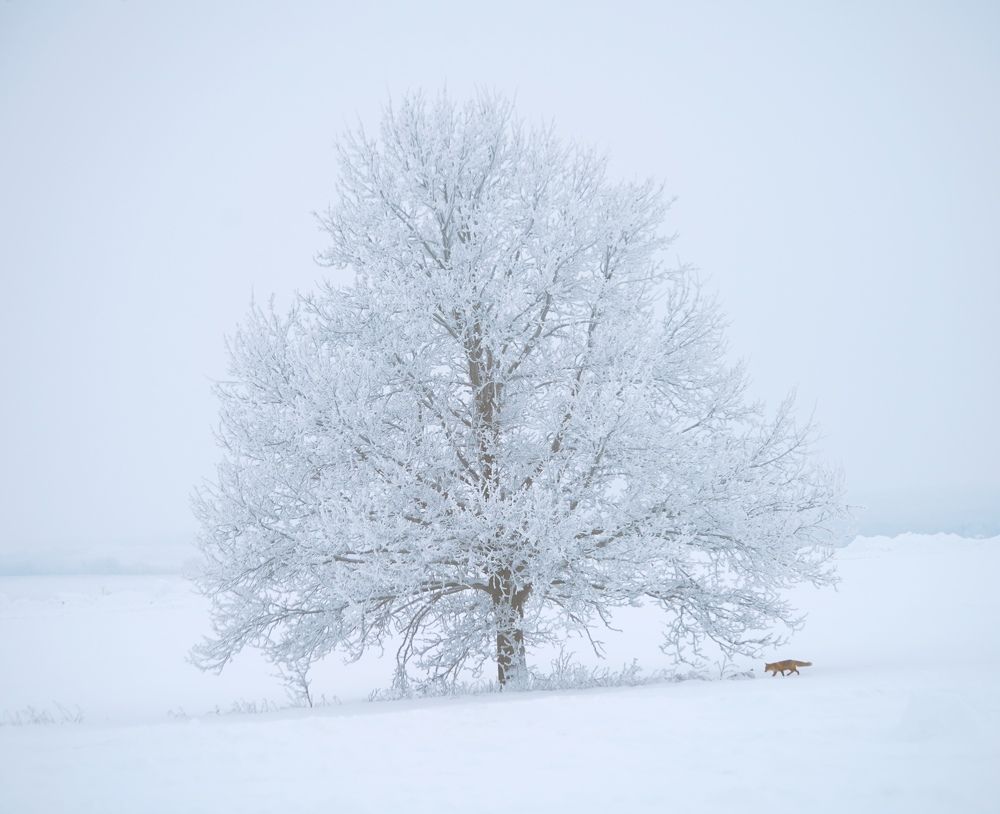 Photograph by Travel Azart