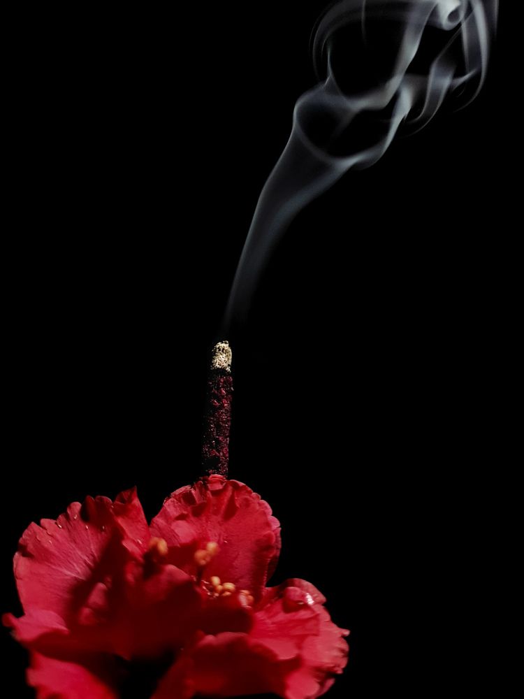 Photograph by Tanmay Karmakar