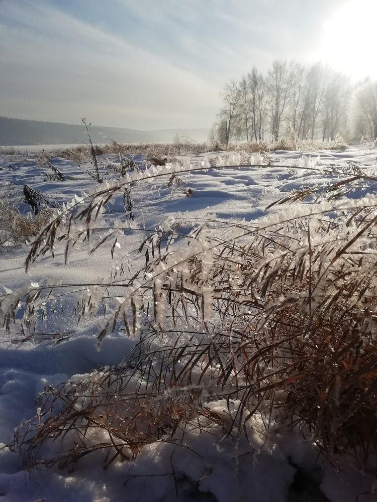 Photo #7139857