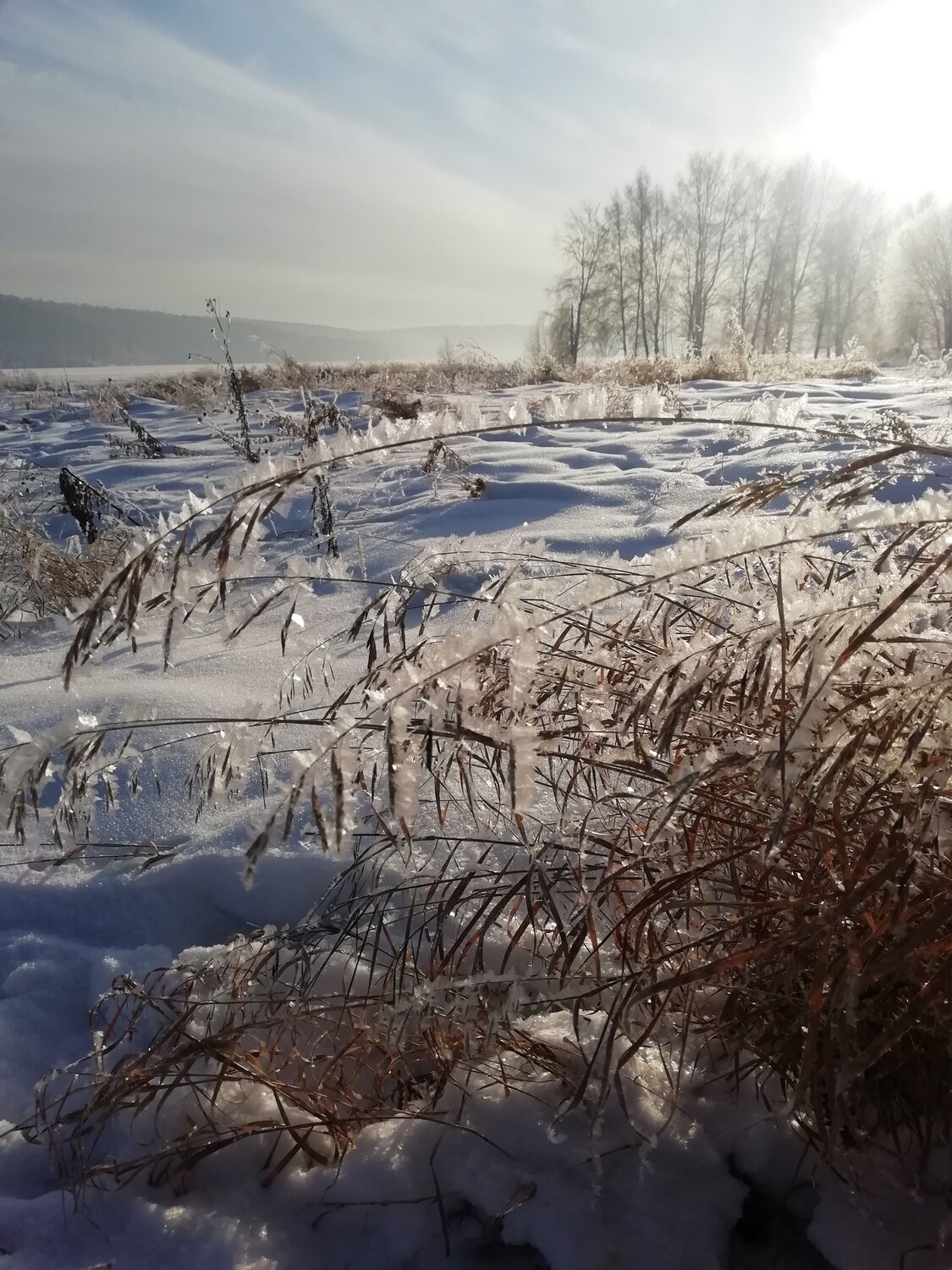 Photo #7139857