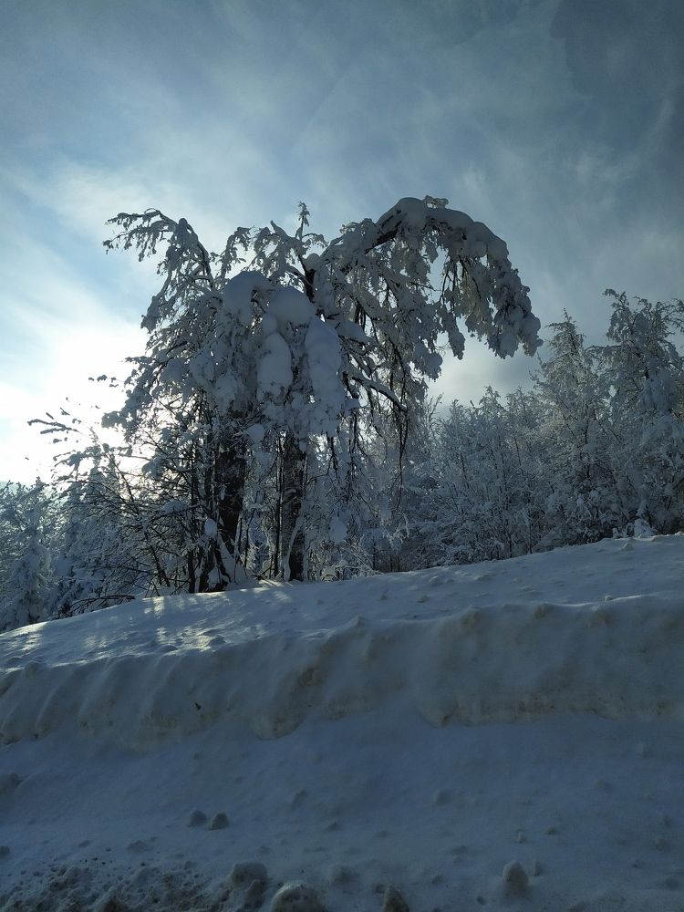 Ангел у дороги...
