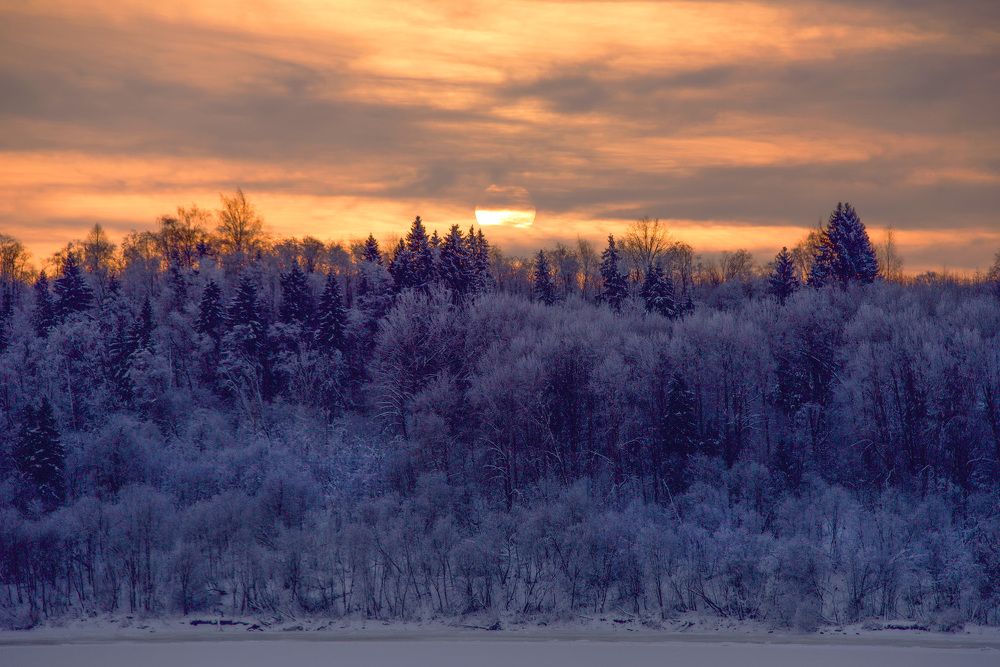 Фотография автора Ольга Белоусова