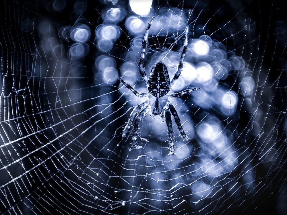 Photograph by Екатерина