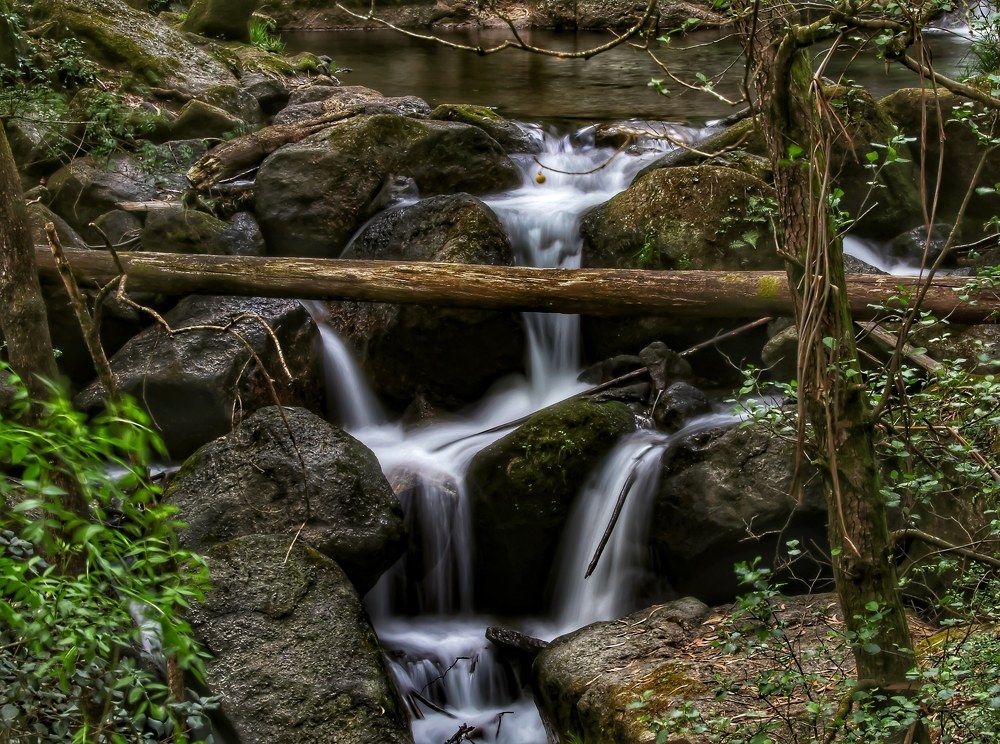 Фотография автора Nuno Pacheco