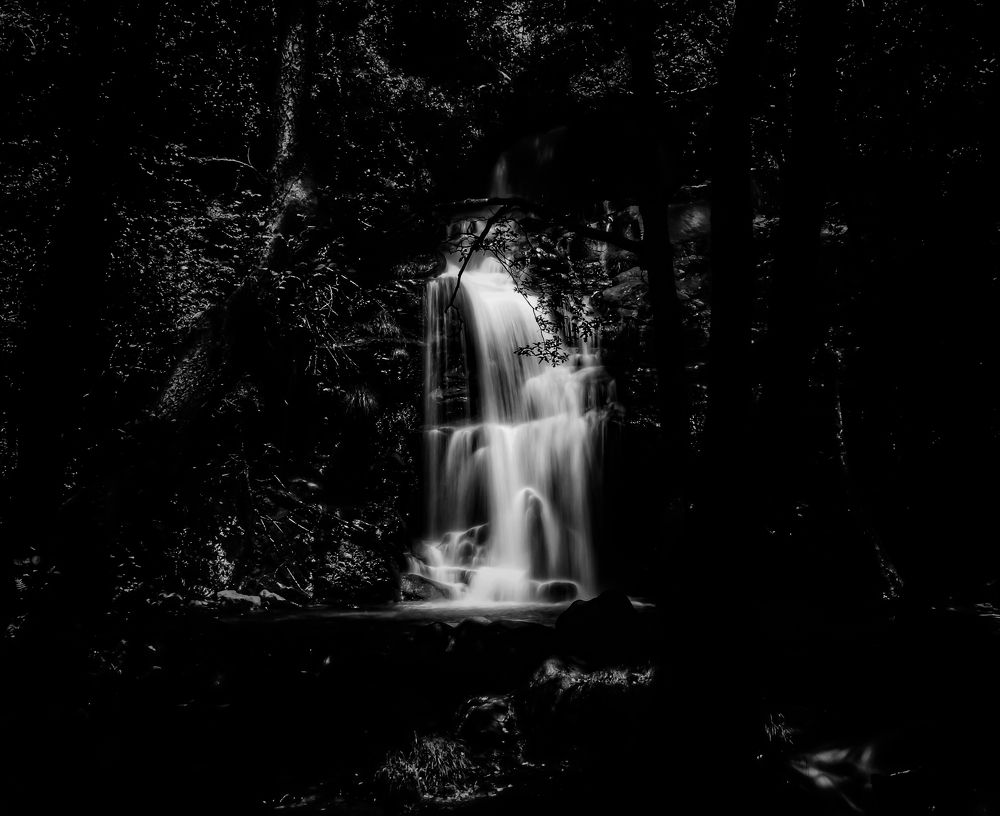 Фотография автора Nuno Pacheco