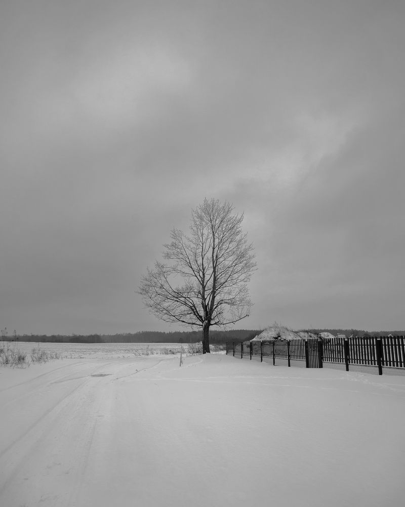 Photograph by Aliaksei Shandalin