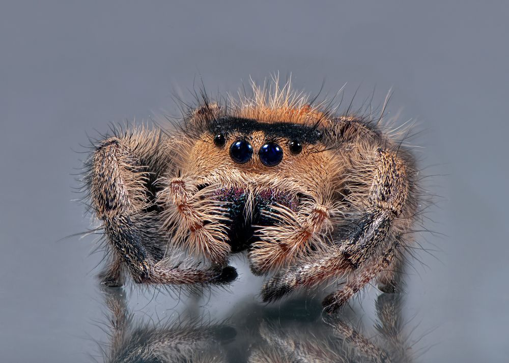 Photograph by Анастасия Третьякова