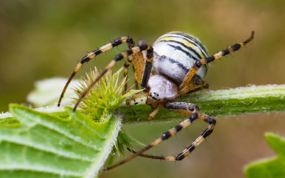 Фотография автора Николай Бологов