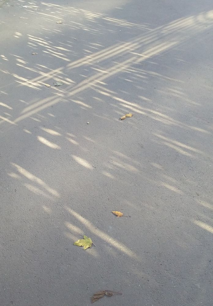 Photograph by Анастасия Кичигина