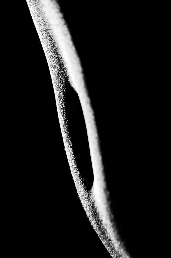 Photograph by Aleksandar Tomovski