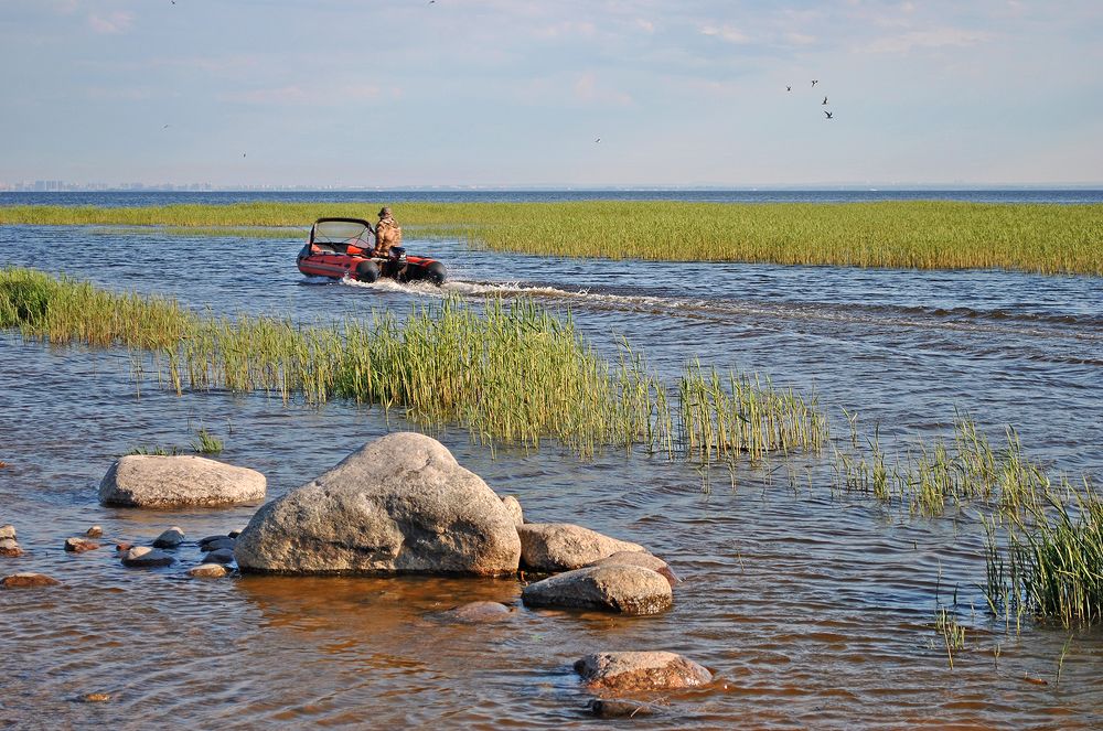 Photograph by Алексей