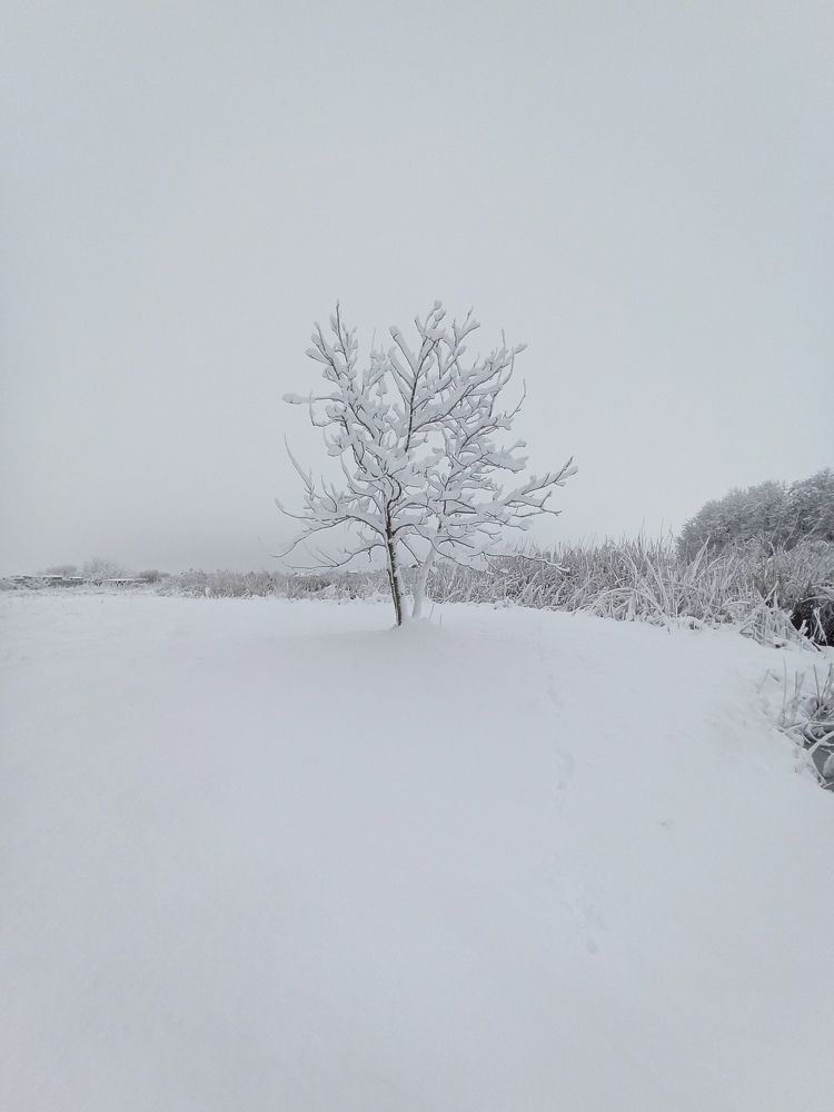 Photograph by Татьяна Долгушева