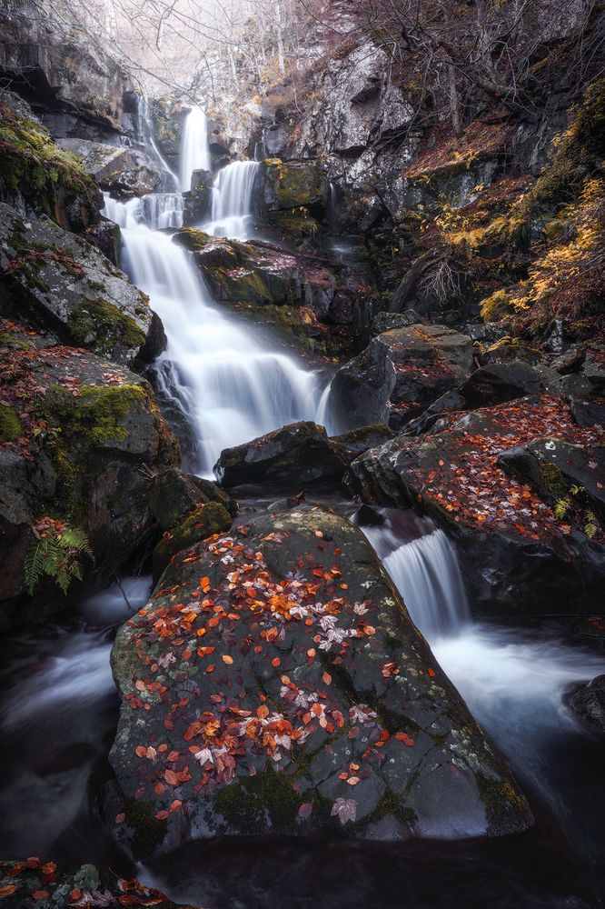 Photograph by Riccardo Cervia