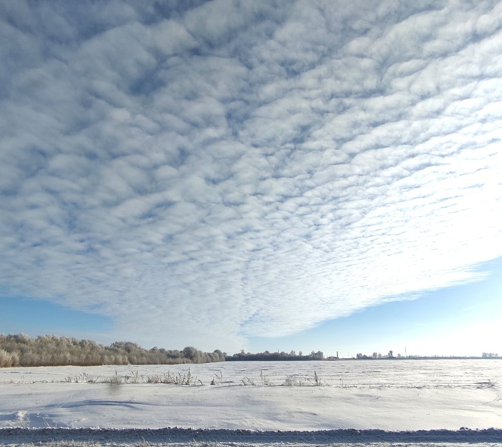 Небо и поле