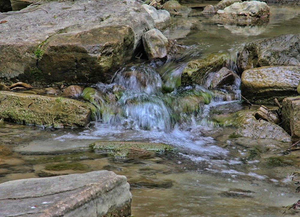 Photograph by Антонина Владимировна Завальнюк