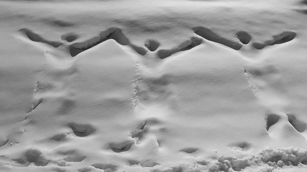 Photograph by Блюмина Елена