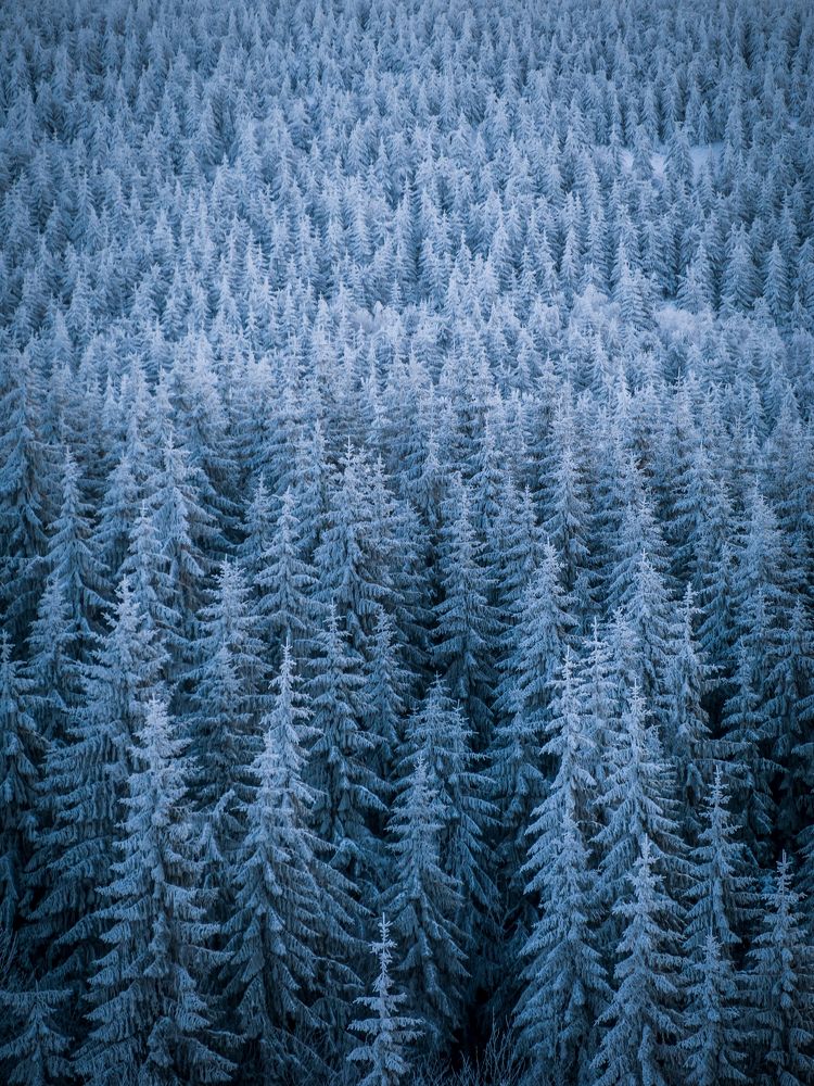 Photograph by Slavomír Gajdoš