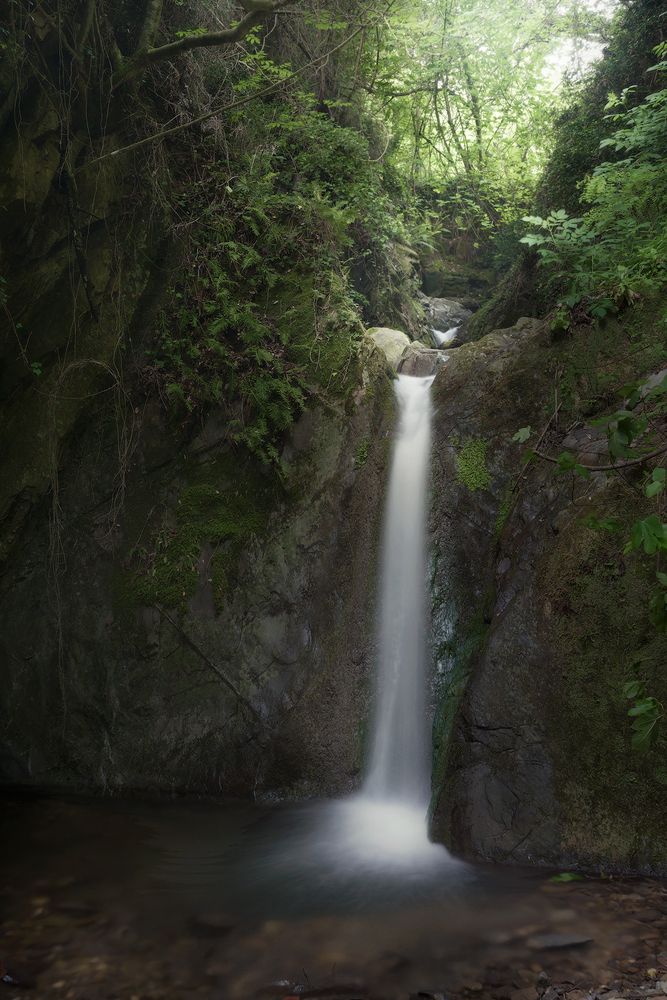 Photograph by Riccardo Cervia