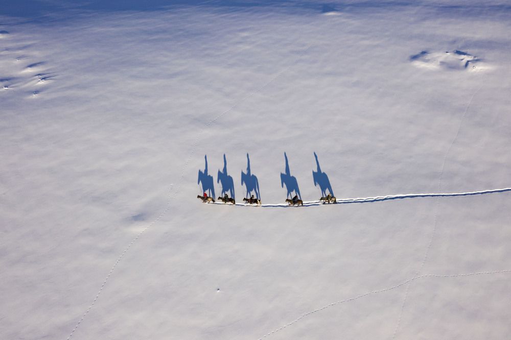 Конное путешествие.