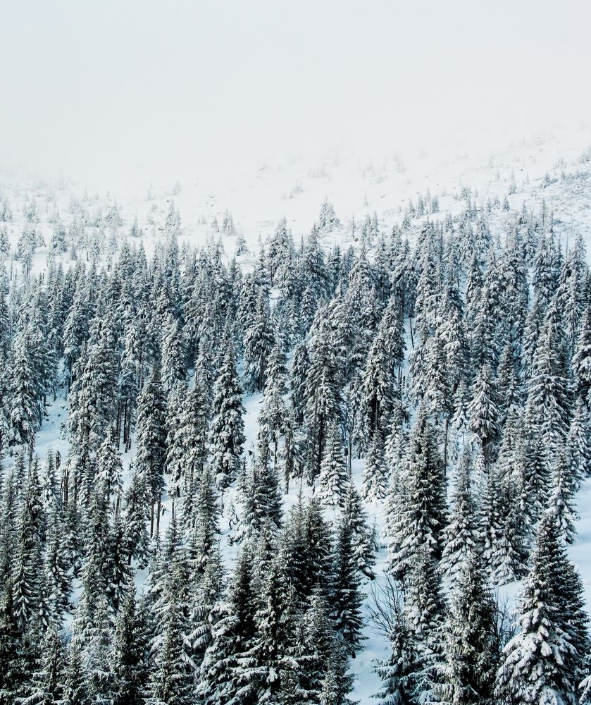 Photograph by Misha Martin