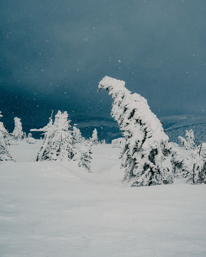 Photograph by Misha Martin