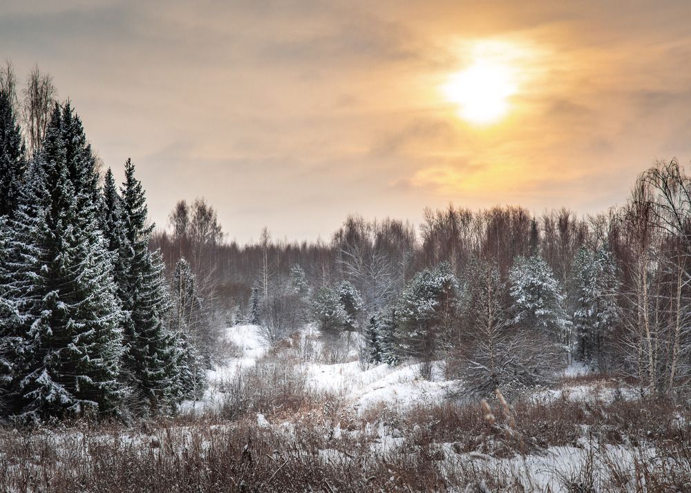 Photograph by Виталий Кожевников