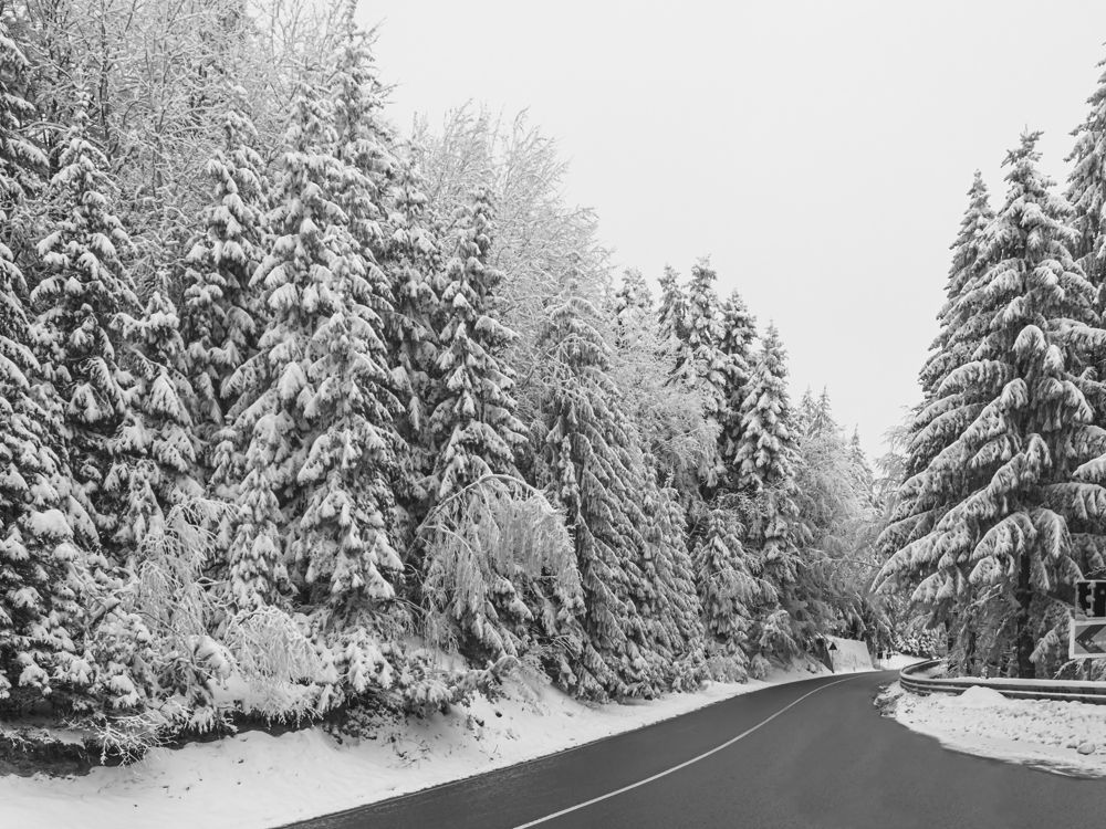 Photograph by Laurentiu Lupascu