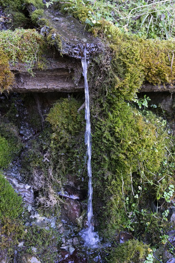 Фотография автора Ирина Зайцева