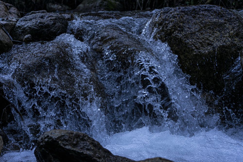 Фотография автора Ирина Зайцева