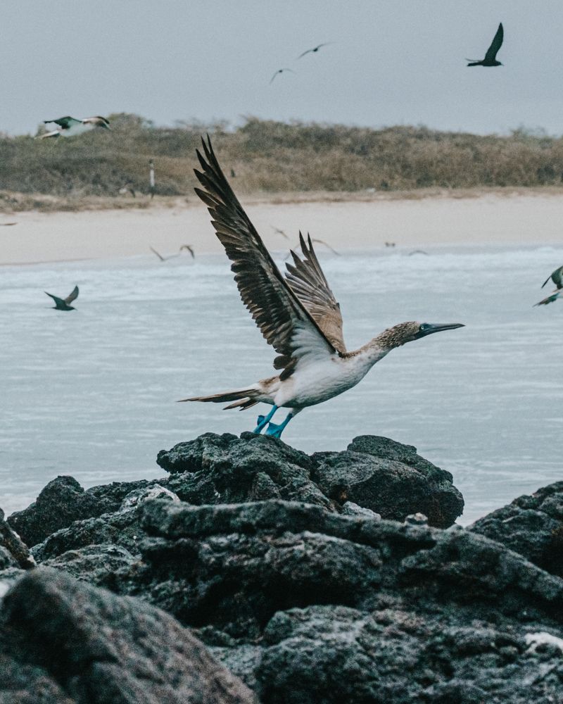 Photograph by Misha Martin