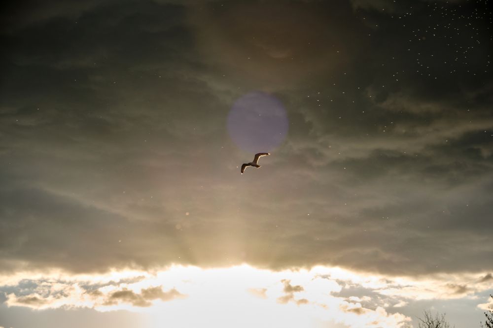 Photograph by Alexey Bogdanov