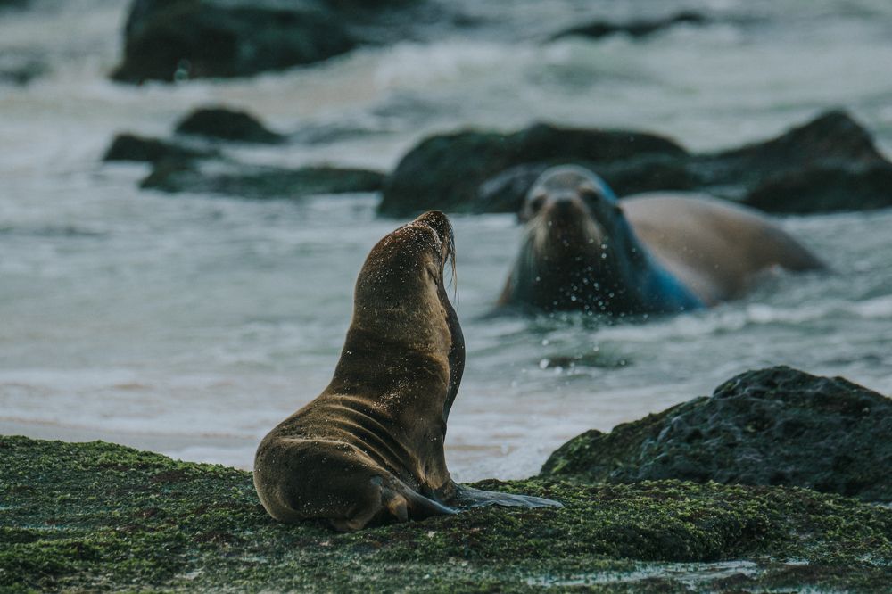 Photograph by Misha Martin