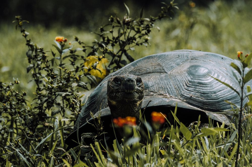 Photograph by Misha Martin