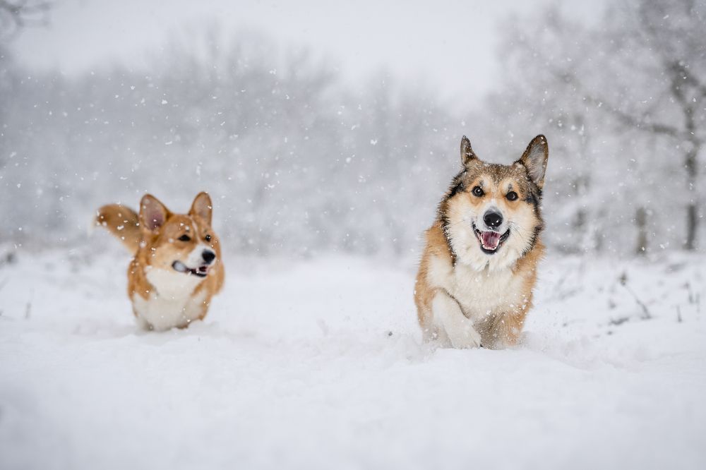 Photograph by Katarína Franková