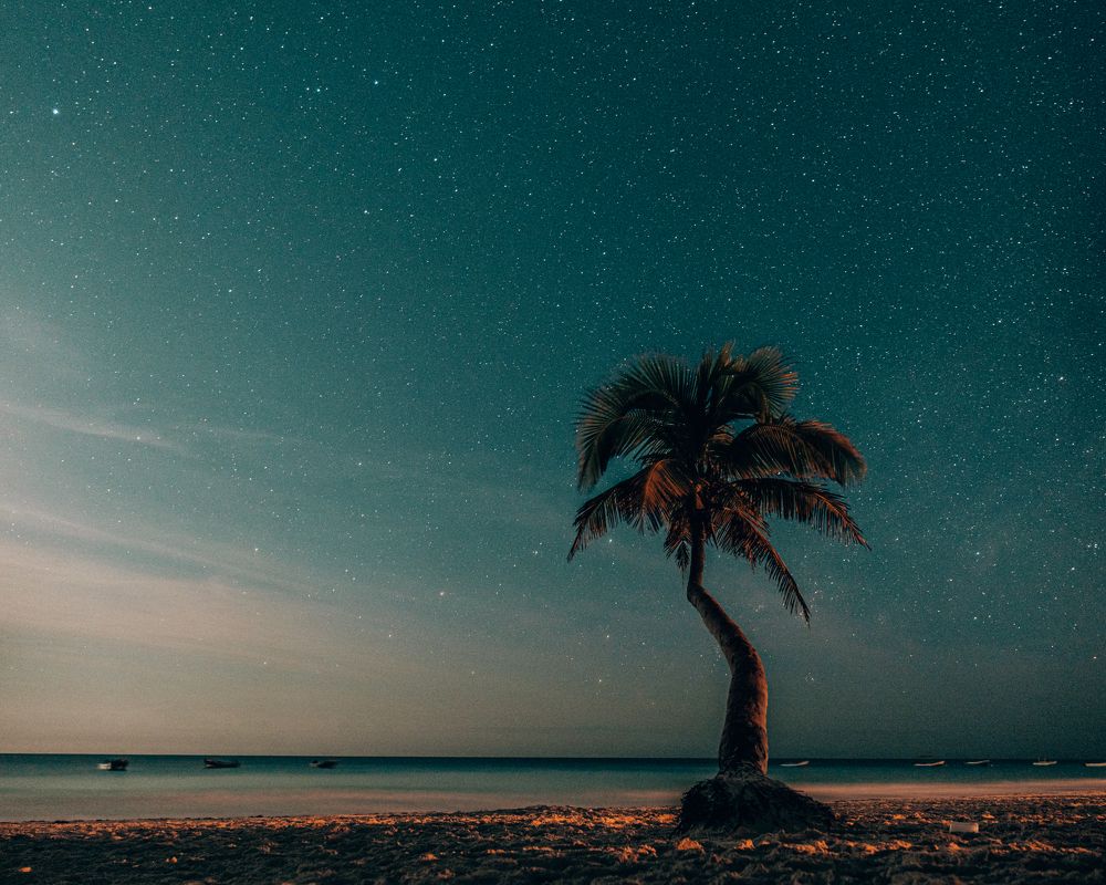 Photograph by Misha Martin