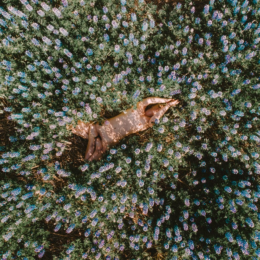 Discoopertus - Exposed