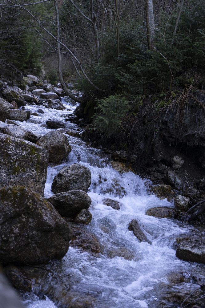 Фотография автора Ирина Зайцева