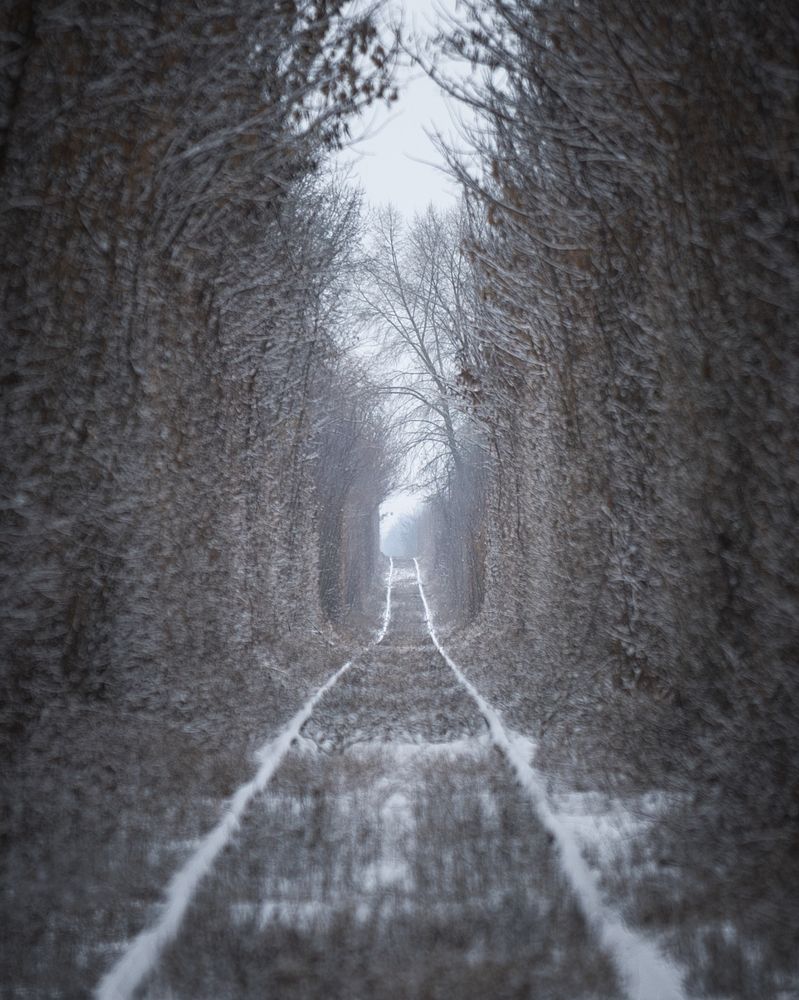 Photograph by Евгений Очеев