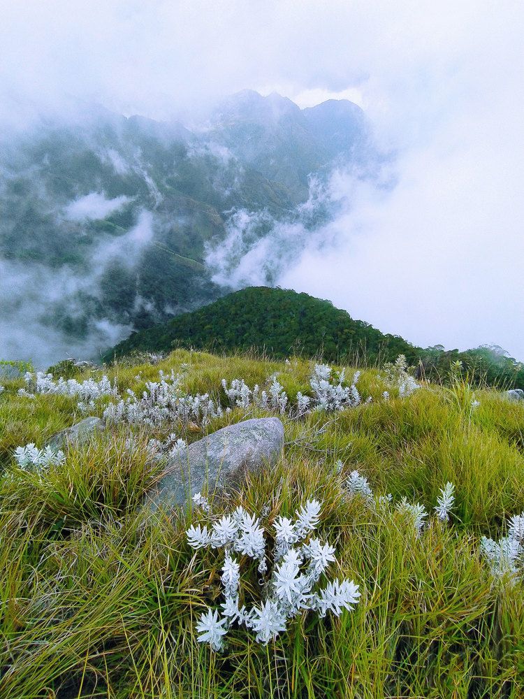 Фотография автора Namal Siriwardena