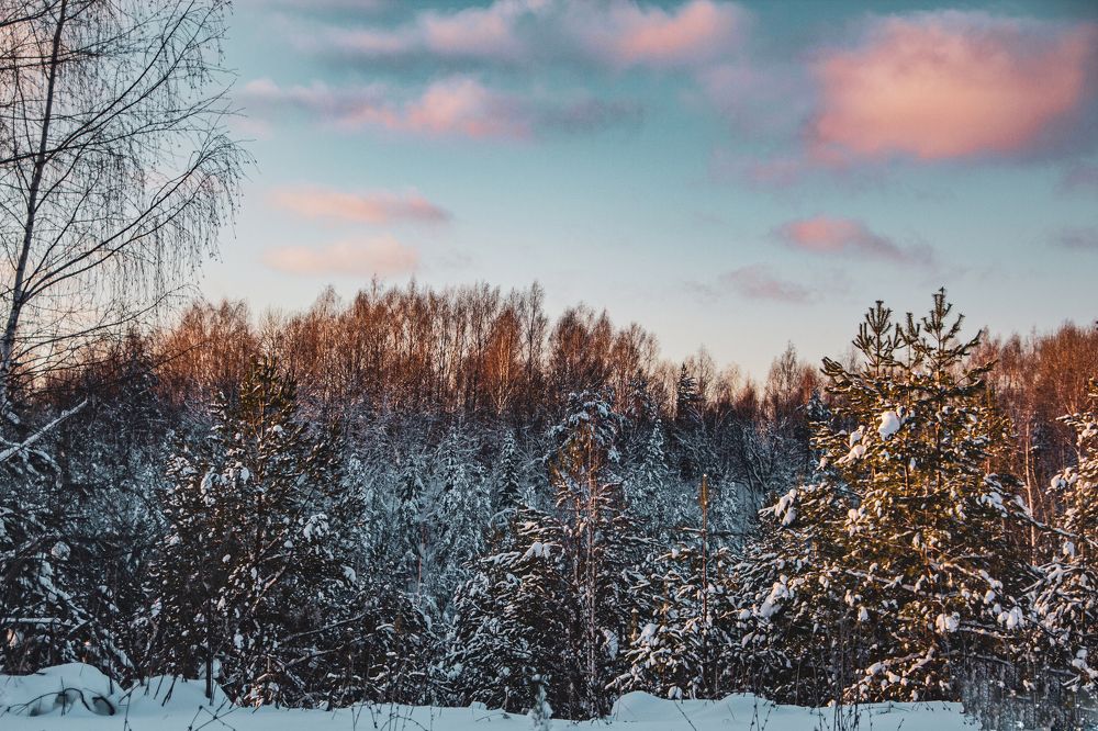 Photograph by Фёдор Викторов