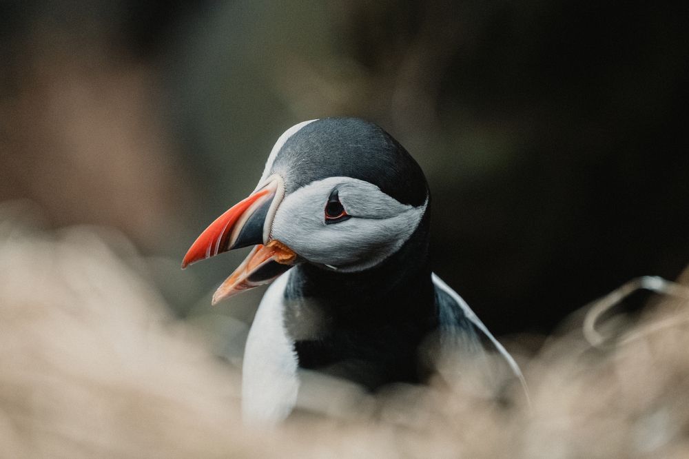 Photograph by Misha Martin