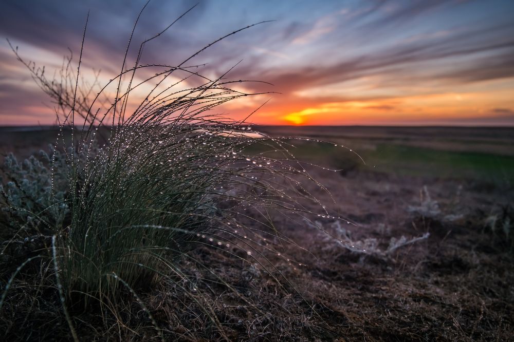 Photograph by Дмитрий Власов