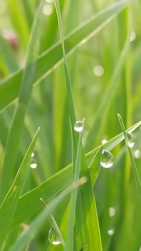 Photograph by Татьяна Долгушева