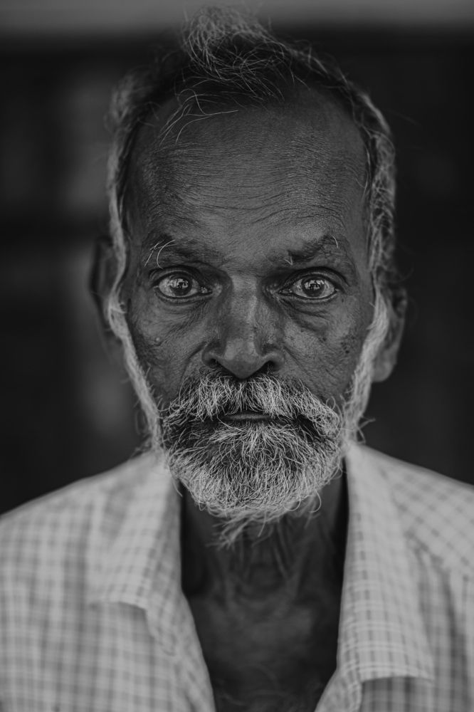 Photograph by Nivedh A.M