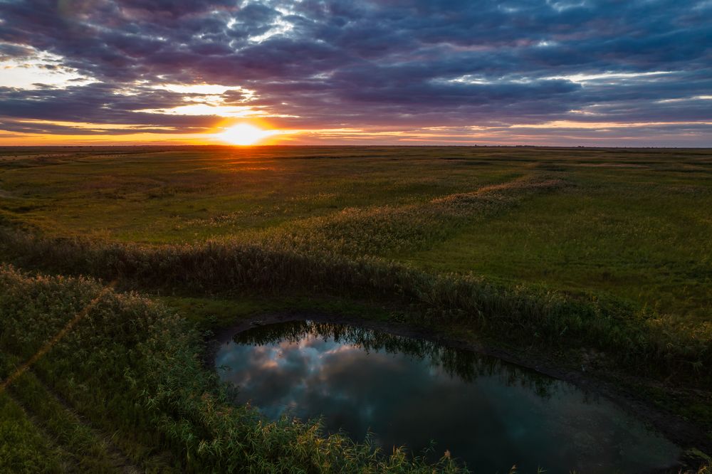 Photograph by Дмитрий Власов