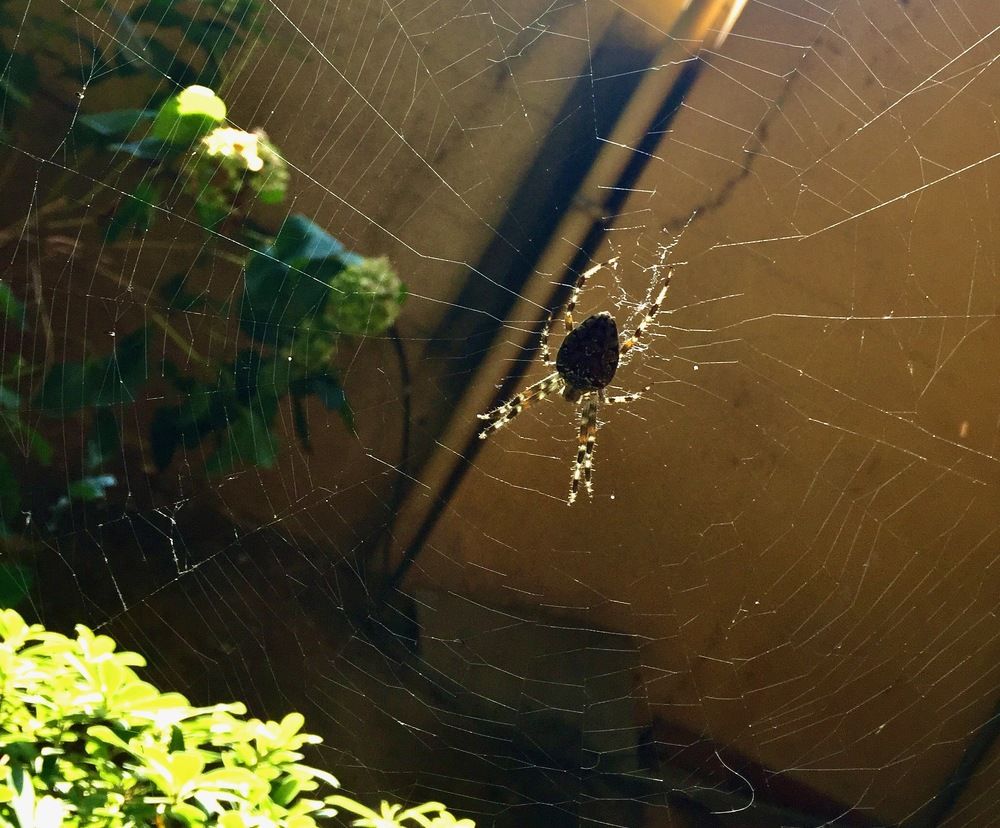 Photograph by Ahmet Aka