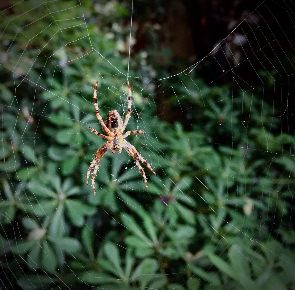 Photograph by Ahmet Aka