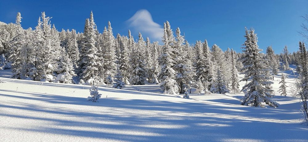 Photograph by Сергей Герасимов