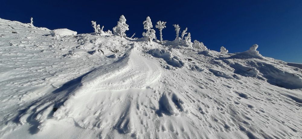 Photograph by Сергей Герасимов