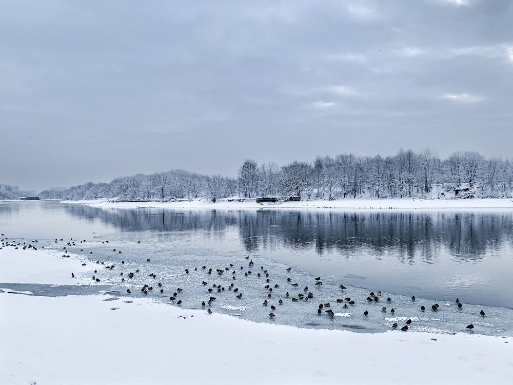 Photograph by Никита Борзов